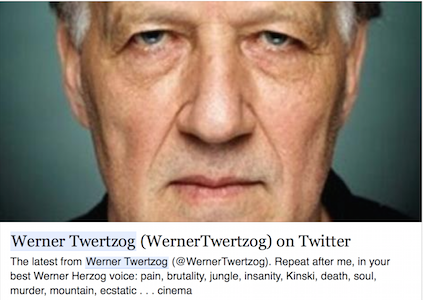 Werner Twertzog