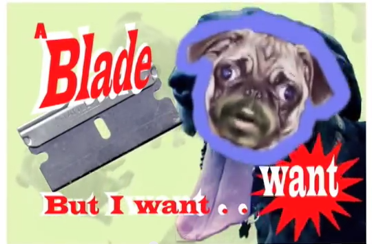 Screen capture of "Rubber Traits" by Why? A dog drools the lyrics to the song next to a razorblade; a pug with a human mouth (mustache included) sings the words of the song. Text: "A Blade / But I want... / But I want... / Oooo"